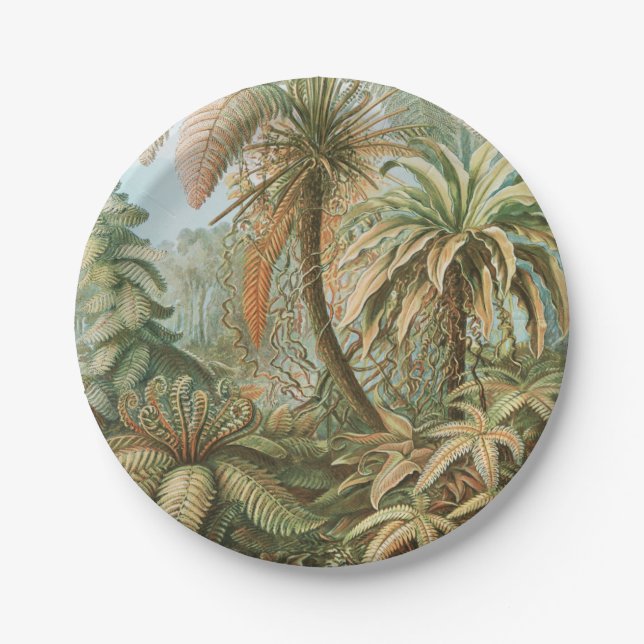 Assiettes En Carton Ferns, Filicinae Laubfarne par Ernst Haeckel (Devant)