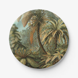 Assiettes En Carton Ferns Palm Tree Antiquité Botanique Ferns Art