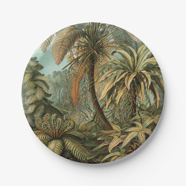 Assiettes En Carton Ferns Palm Tree Antiquité Botanique Ferns Art (Devant)
