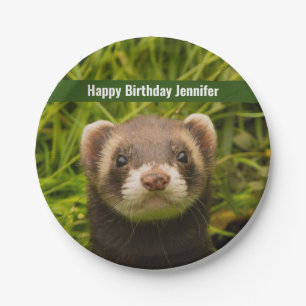 Assiettes En Carton Ferret Brown dans l'herbe Joyeux anniversaire