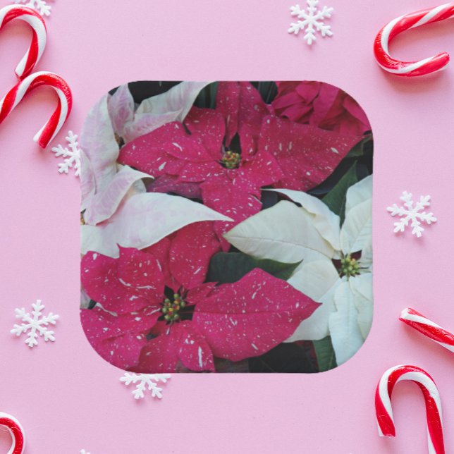 Assiettes En Carton Festive vacances Poinsettias Floral (In Situ Holiday)