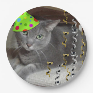 Assiettes En Carton Fête d'anniversaire Chat bleu russe