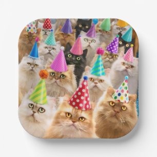 Assiettes En Carton Fête de chats
