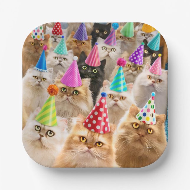 Assiettes En Carton Fête de chats (Recto)