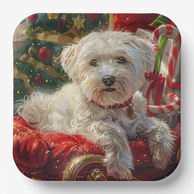 Assiettes En Carton Fête de Noël des chiens maltais (Recto)