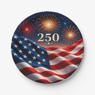Assiettes En Carton Fête du drapeau des feux d'artifice patriotiques d