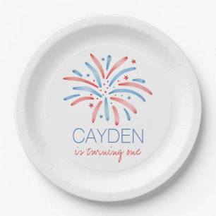 Assiettes En Carton Feu d'artifice 4 juillet Anniversaire