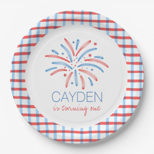 Assiettes En Carton Feu d'artifice Anniversaire du 4 juillet