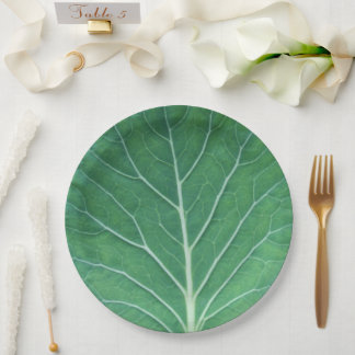 Assiettes En Carton Feuille de choux verte 0933