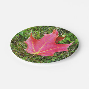 Assiettes En Carton Feuille d'érable rouge sur l'herbe