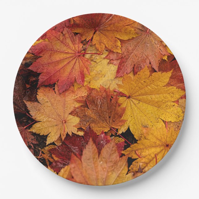 ASSIETTES EN CARTON FEUILLE D'OR DE L'AUTOMNE (Devant)
