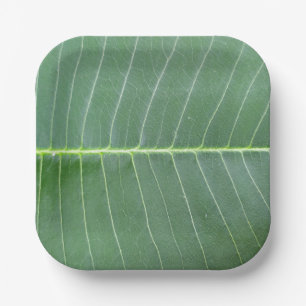 Assiettes En Carton Feuille verte et ligne blanche claire Design 7" Ca