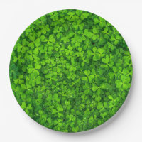 Feuilles de trèfle vert avec gouttes d'eau
