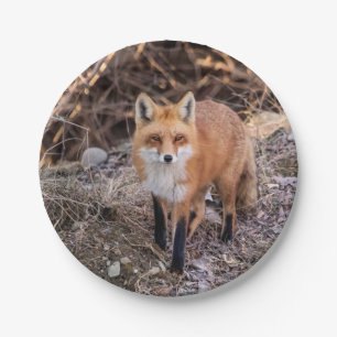 Assiettes En Carton Fin de Fox rouge et personnel