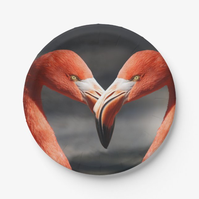 Assiettes En Carton Flamant rose Valentine (Devant)