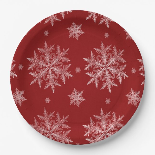 Assiettes En Carton Flammes de neige Red Holiday Christmas (Devant)