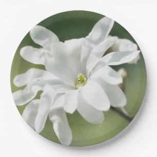 Assiettes En Carton Fleur blanche de Magnolia