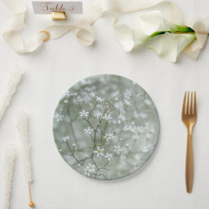 Assiettes En Carton Fleur de Gypsophile Blanche Bébé Photographie Bota