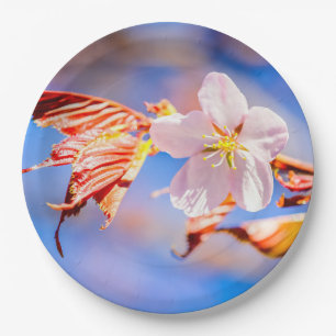 Assiettes En Carton Fleur de Sakura rose ciel bleu