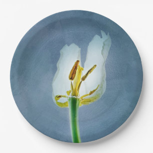 Assiettes En Carton Fleur de tulipe blanche