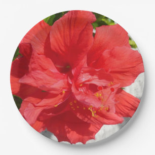 Assiettes En Carton Fleur double hibiscus rouge