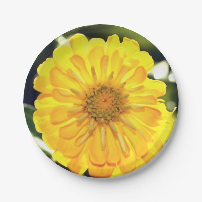 Assiettes En Carton Fleur jaune boho (Devant)