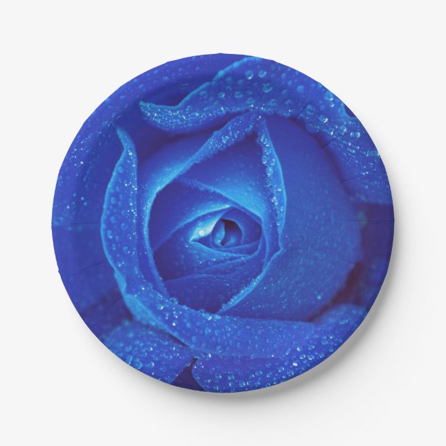 Assiettes En Carton Fleur rose de rosebud bleu (Devant)