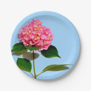 Assiettes En Carton Fleur rose rose rose Hydrangea