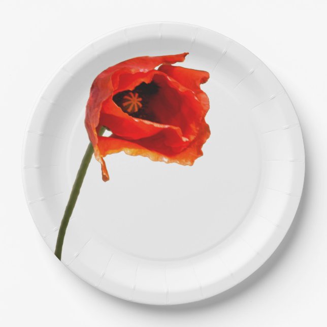 Assiettes En Carton Fleur rouge de pavot (Devant)
