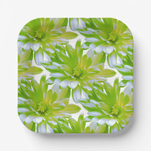 Assiettes En Carton Fleur vert vert vert vert pâle marguerite