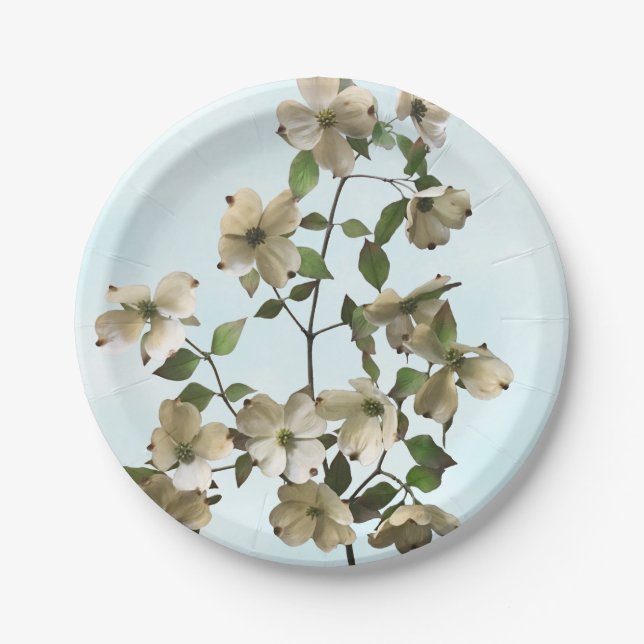 Assiettes En Carton Fleurs de bois de chien blanc fleurissant (Devant)
