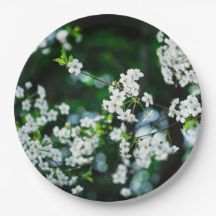 Assiettes En Carton Fleurs de cerisier blanches feuilles vertes