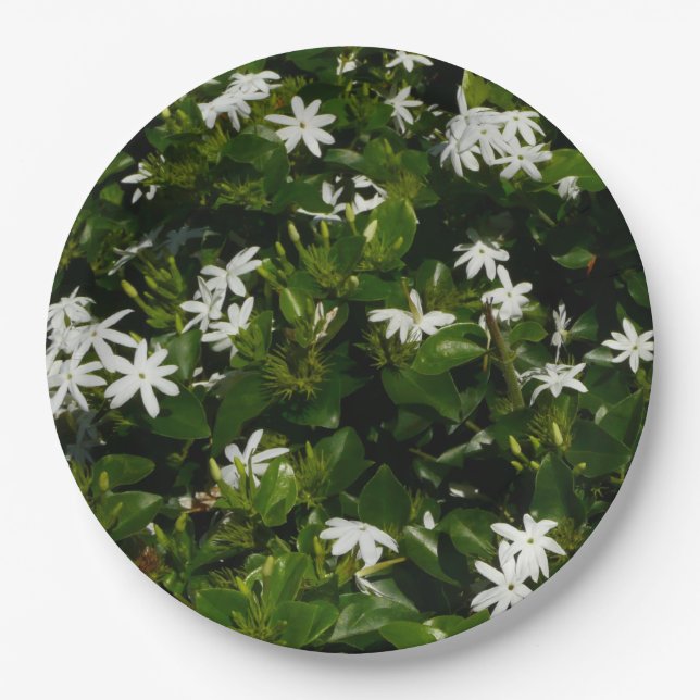 Assiettes En Carton Fleurs de jasmin Botanique tropicale florale (Devant)