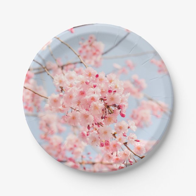 Assiettes En Carton Fleurs japonaises japonaises en fleurs de cerises  (Devant)
