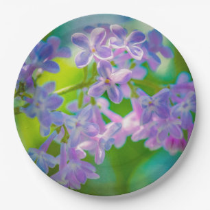 Assiettes En Carton Fleurs Lilac Violettes