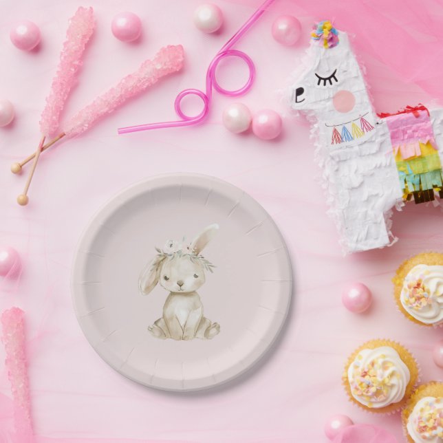 Assiettes En Carton Fleurs rose pâle Lapin Anniversaire (Fête)