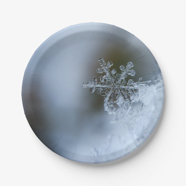 Assiettes En Carton Flocon de neige Icy (Devant)