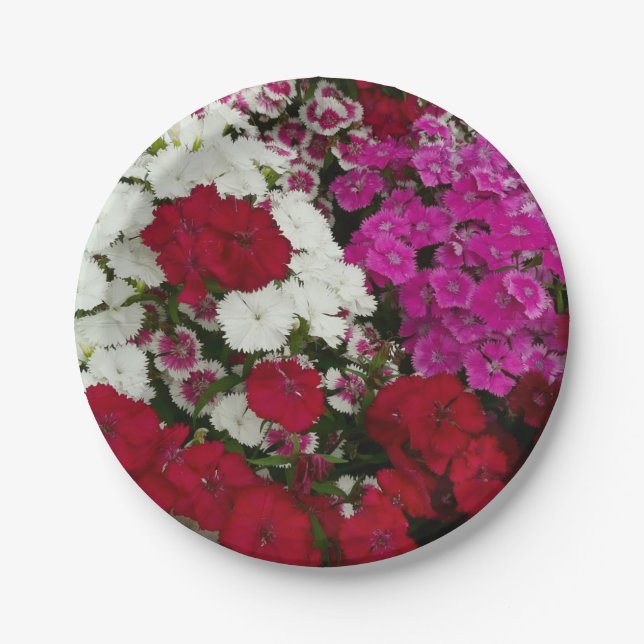 Assiettes En Carton Floral Dianthus blanc, rose et rouge (Devant)