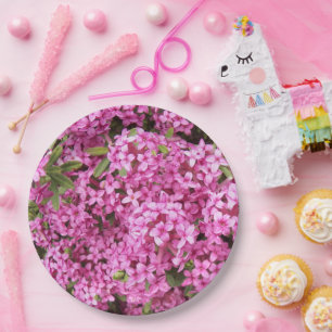 Assiettes En Carton Floral Little Rose Daphne