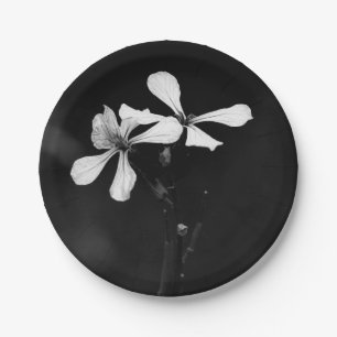 Assiettes En Carton floral noir et blanc minimal