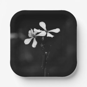 Assiettes En Carton floral noir et blanc minimal