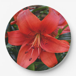 Assiettes En Carton Floral Orange Lily