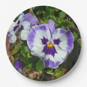 Assiettes En Carton Floral Purple and White Pansies