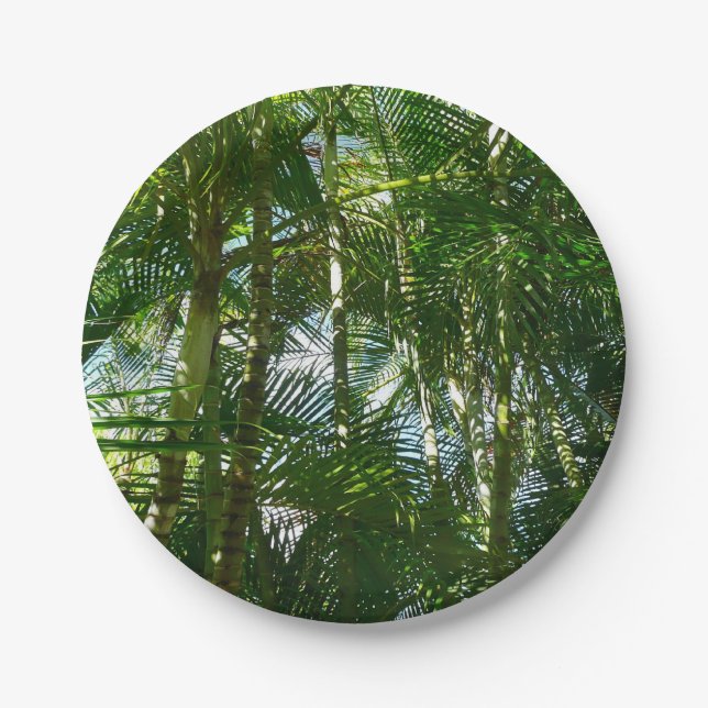 Assiettes En Carton Forest of Palm Trees Tropical Nature (Devant)