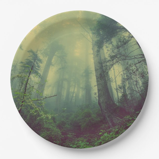 Assiettes En Carton Forêt de Misty (Devant)