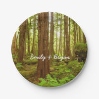 Forêt pluviale tempérée de l'Alaska