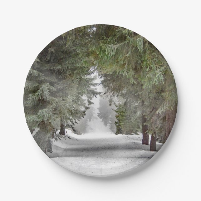 Assiettes En Carton Forêt Route Pins de Neige Photo (Devant)