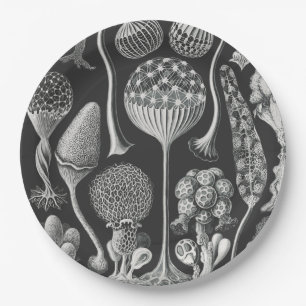 Assiettes En Carton Formes artistiques de la nature