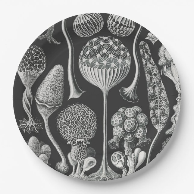 Assiettes En Carton Formes artistiques de la nature (Devant)