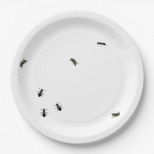 Assiettes En Carton Fourmis Et Mouches